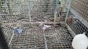 IMG-20170127-WA0027