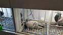 IMG-20170128-WA0014 (3)