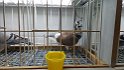 IMG-20170128-WA0016 (5)