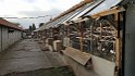 IMG-20170130-WA0009