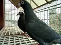 IMG-20170202-WA0001