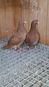 IMG-20170202-WA0003