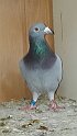 IMG-20170202-WA0004