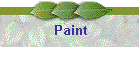 Paint
