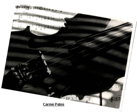 violi.jpg (27118 bytes)