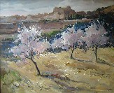 DSC00250_APp
