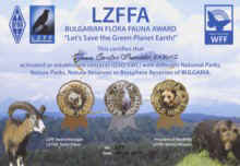 lzffa.jpg (14323 bytes)