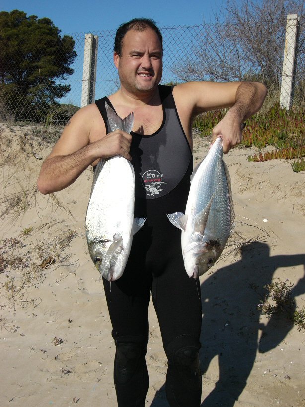 foto 33 - Doradas