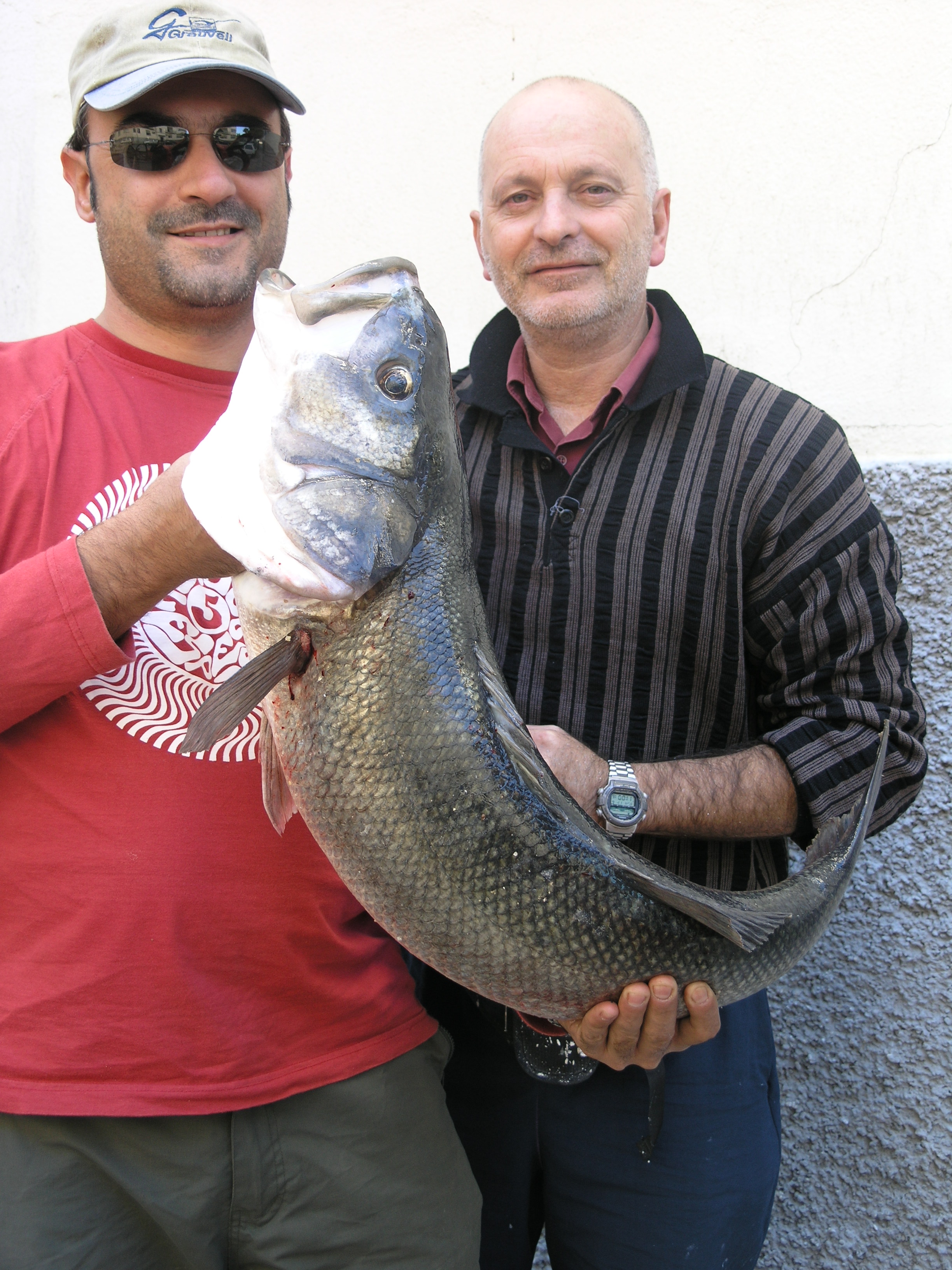 foto 40 - R�balo