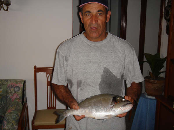 foto 41 - Dorada
