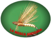 LA MOSCA AHOGADA