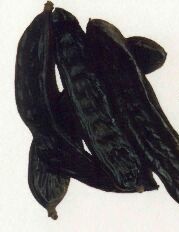 Garrofa