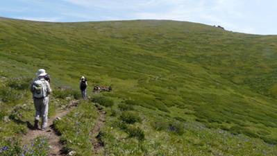 La tundra siberiana a 2.000 metres d'al�ada