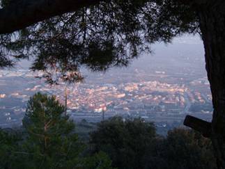 la Selva del Camp