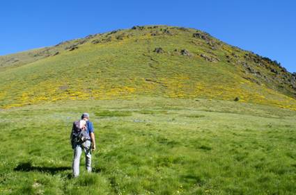 C:\Users\Pere Lopez\Desktop\Fotos Foro Pic de  Sal�ria\2011-06-25 Pic de Sal�ria 2789,1 malt Urgell (11).JPG