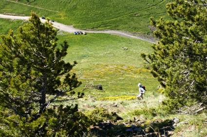 C:\Users\Pere Lopez\Desktop\Fotos Foro Pic de  Sal�ria\2011-06-25 Pic de Sal�ria 2789,1 malt Urgell (24).JPG