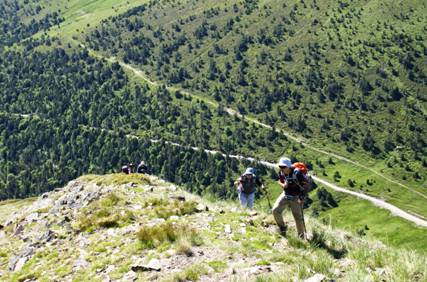 C:\Users\Pere Lopez\Desktop\Fotos Foro Pic de  Sal�ria\2011-06-25 Pic de Sal�ria 2789,1 malt Urgell (31).JPG