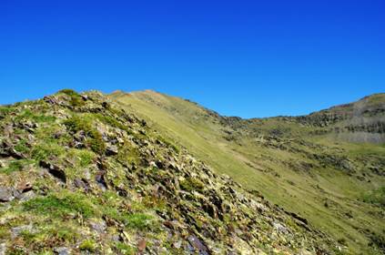 C:\Users\Pere Lopez\Desktop\Fotos Foro Pic de  Sal�ria\2011-06-25 Pic de Sal�ria 2789,1 malt Urgell (27).JPG