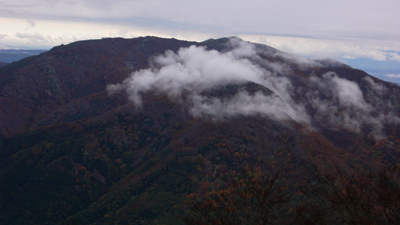 06.jpg