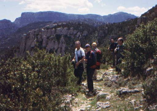 Cam� del coll de les Carabasses, amb el Mont Caro al fons