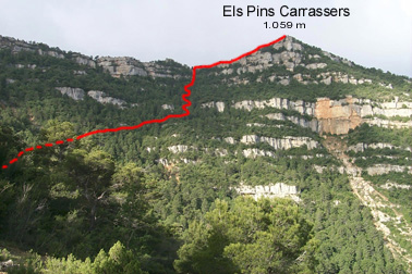 Grau del Llop i Punta dels Pins Carrassers