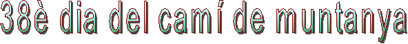 38� dia del cam� de muntanya