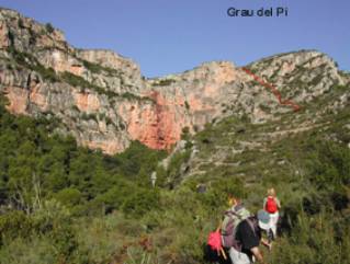 Grau del Pi