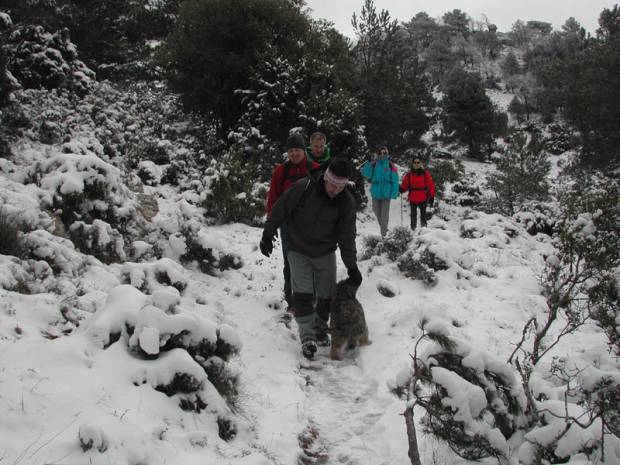 Cam� de l'ermita de la M. D de Montsant