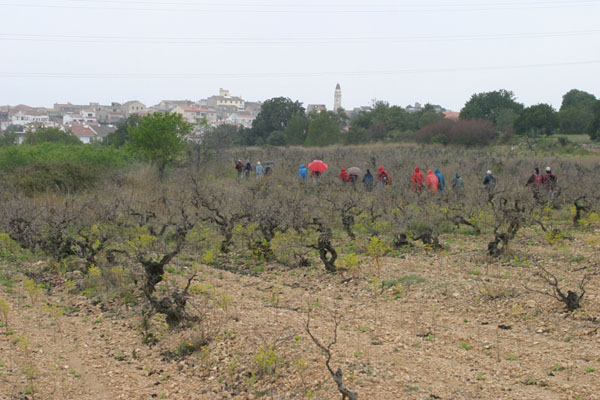 Arribant a La Secuita