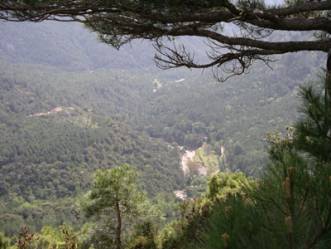 Vall de la Galera i mas del Petrol�