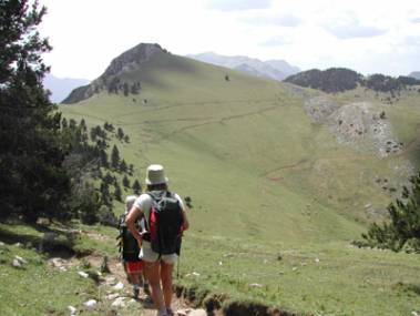 Prat i bosc arribant al coll de Moixer�