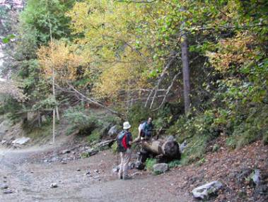Cam� de la vall d'Est�s
