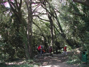 Font Major de la Selva del Camp