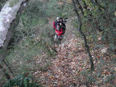 Bosc dels Morterets