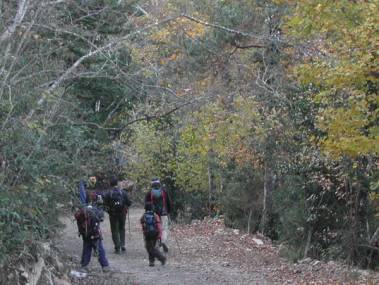 Bosc de l'Augustenc