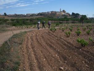 Tornada a Puigpelat