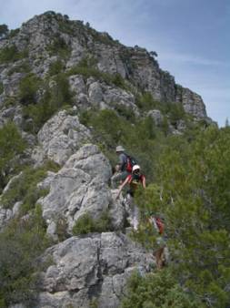 Crestes de la Seda