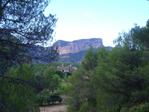 penyagalera