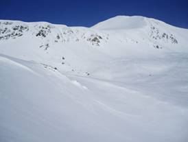 pic de bastiments