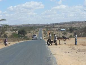Travessant Kenya cap al sud
