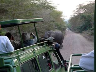 Safari al Lake Manyara National Park