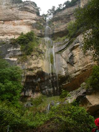 salt del Robert