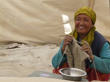 Dona ladakhi