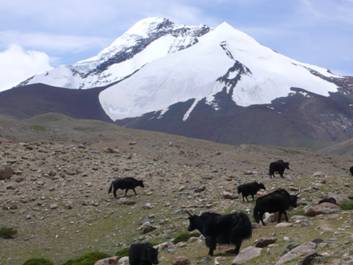 Kang Yatze, 6.400 m
