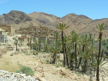 palmeral de Tafraute