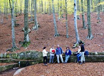 Font de Passavets