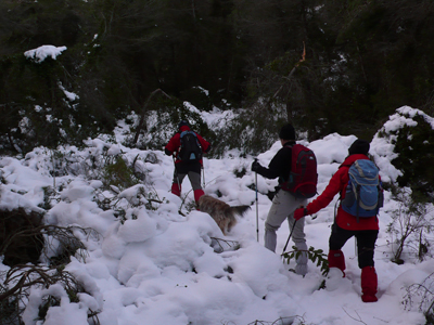El cam� de Portadeix desaparegut sota la neu