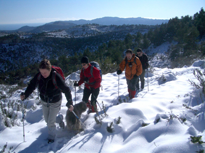 Arribant al cim del Montalt