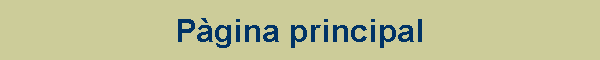 P&aacute;gina principal