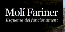 MOLI FARINER
